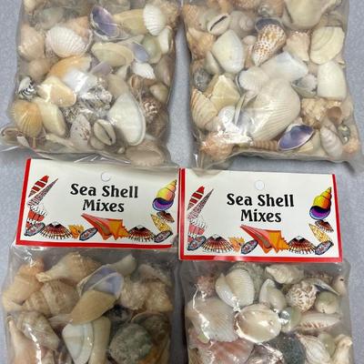 Lot of Packaged Sea Shells 1 pound of Shells for Crafts and Decorating, (4) packages