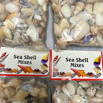 Lot of Packaged Sea Shells 1 pound of Shells for Crafts and Decorating, (4) packages