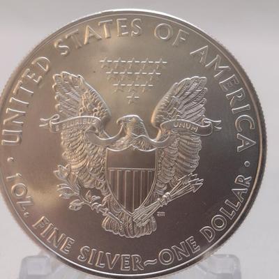 2009 U. S. Mint American Eagle Silver Dollar Uncirculated (#238)