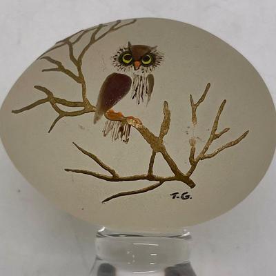 Owl Painting on Frosted Glass Egg