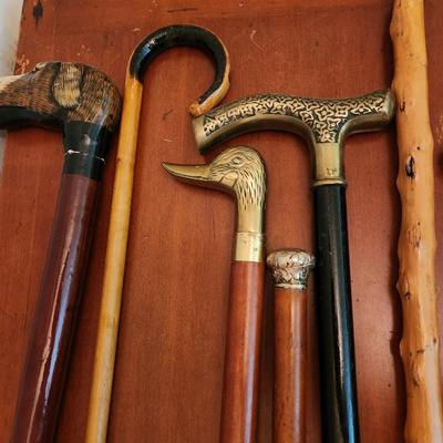 Lot of 8 Walking Sticks Canes Duck, Dog, Lion, Pool Ball,