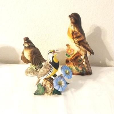 COLLECTABLE BIRDS