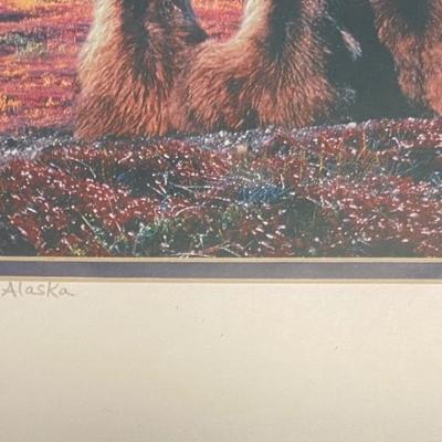 Alaskan Bear Pictures
