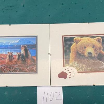Alaskan Bear Pictures