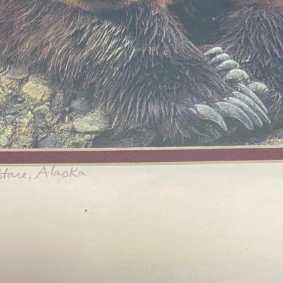 Alaskan Bear Pictures