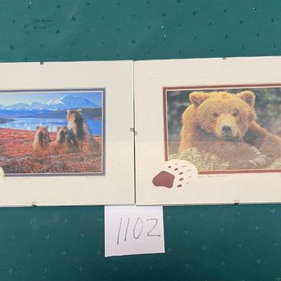Alaskan Bear Pictures