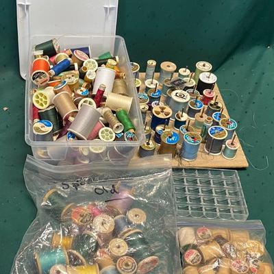 Buttons and Thread Lot