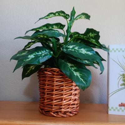 RECIPE BOOK, VARIOUS CANDLES, THROW PILLOWS AND FAUX PLANT