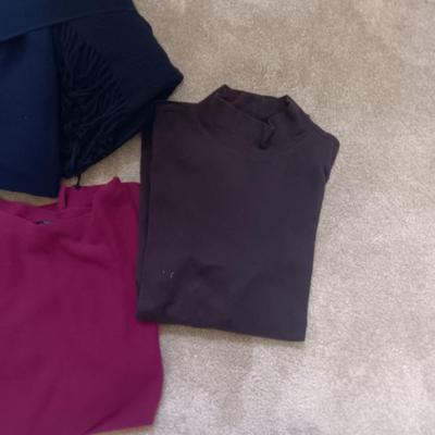 LADIES SWEATERS, TURTLENECKS, SWEATSHIRTS AND LONG SLEEVE SHIRTS SIZE 1X