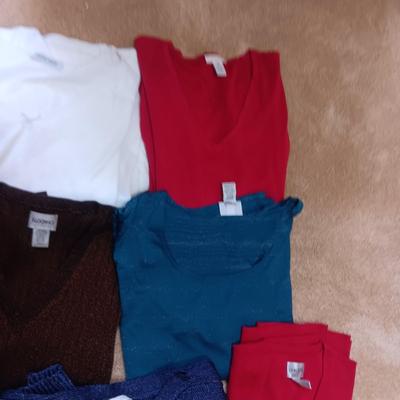 MOSTLY CHICO'S LADIES WINTER WEAR PLUS BEADED SHAWL (3X)