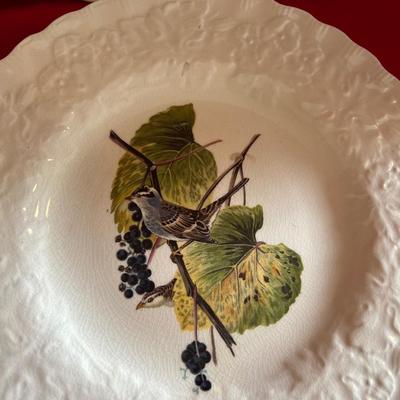 Dinner plates