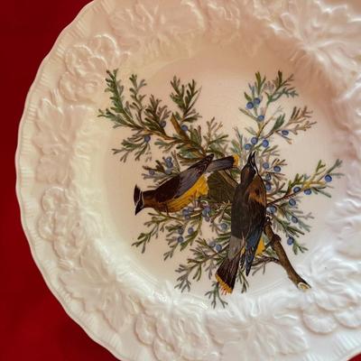 Dinner plates