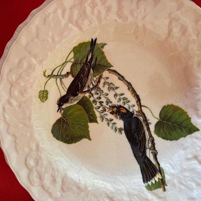 Dinner plates