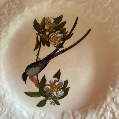 Dinner plates