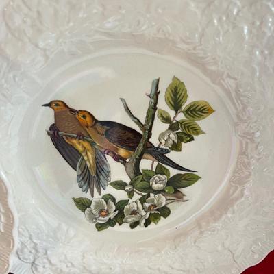 Dinner plates
