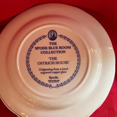 The spode collection