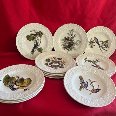 Variety of bird plates great for serving