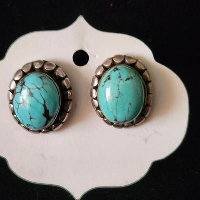 Beautiful Turquoise Cabochon Earrings