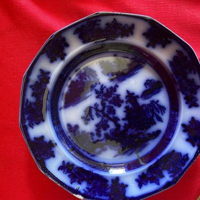 Variety of different blue and white plates collectible wall decor