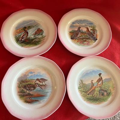 Set a four pheasant decorative plates with light pink trim