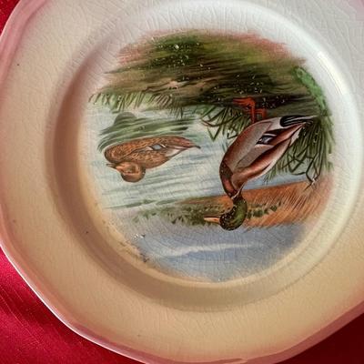 Set a four pheasant decorative plates with light pink trim