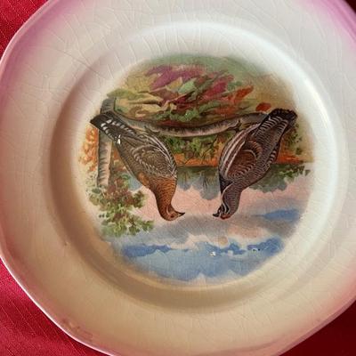 Set a four pheasant decorative plates with light pink trim