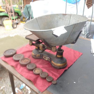 Antique Phillips & Hammond Scale with Weights- 14 Lb Capacity
