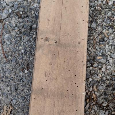 Architectural Pine Posts