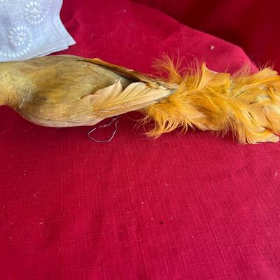 Variety of decorative birds, small painted handcuff birds Along with three larger birds with feathers and one owl, figuring that is really