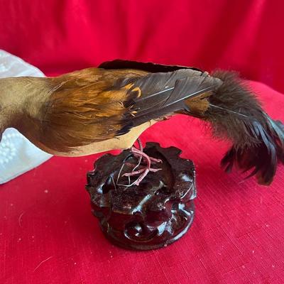 Variety of decorative birds, small painted handcuff birds Along with three larger birds with feathers and one owl, figuring that is really