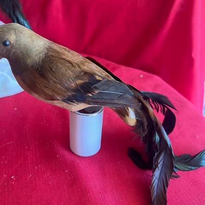Variety of decorative birds, small painted handcuff birds Along with three larger birds with feathers and one owl, figuring that is really
