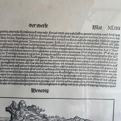 Large framed picture written in German or Swedish very unique