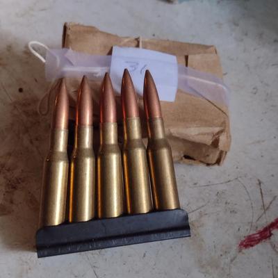 762-54 Ammo on Stripper Clips- 75 Rounds