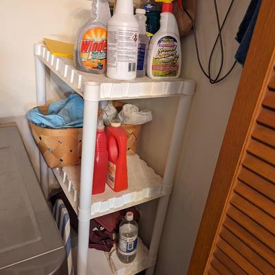 Assortment Of Cleaning Supplies
