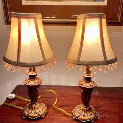 Pair of ornate lamps