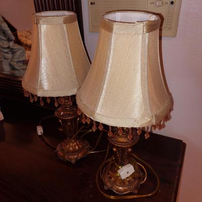 Pair of ornate lamps