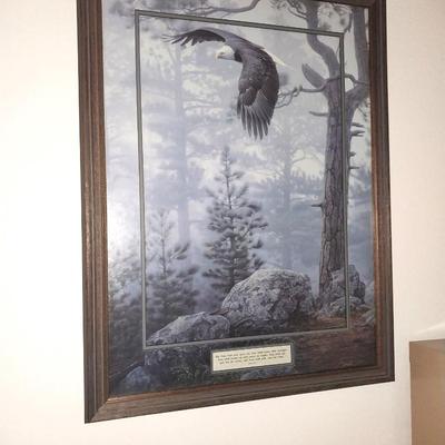 FRAMED FLYING EAGLE PICTURE
