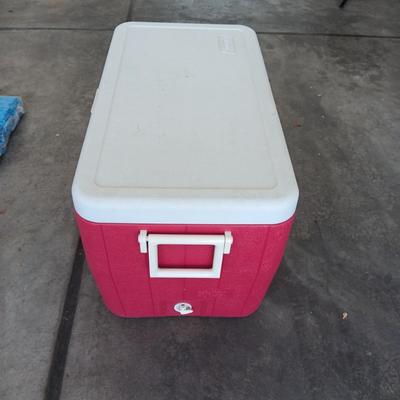 LARGER COLEMAN FOOD/BEVERAGE COOLER