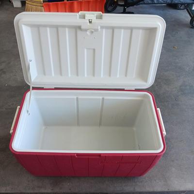 LARGER COLEMAN FOOD/BEVERAGE COOLER