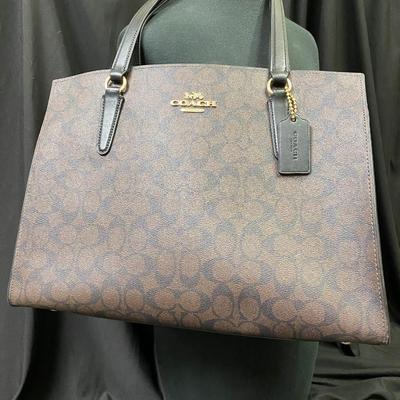 Coach Carryall