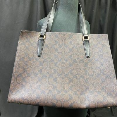 Coach Carryall