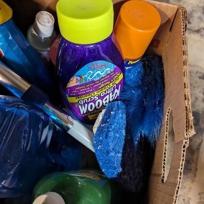 Assortment Of Cleaning Supplies