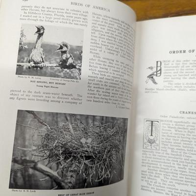 Birds Of America 1936 Edition