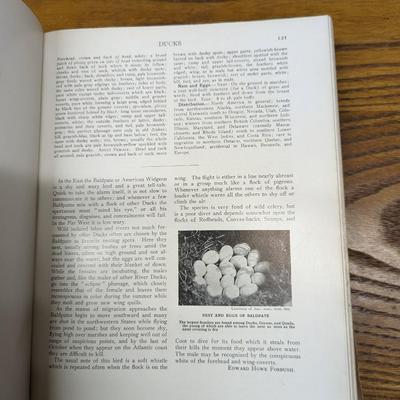 Birds Of America 1936 Edition
