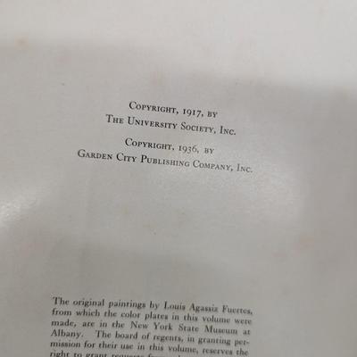 Birds Of America 1936 Edition