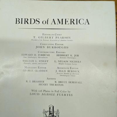 Birds Of America 1936 Edition