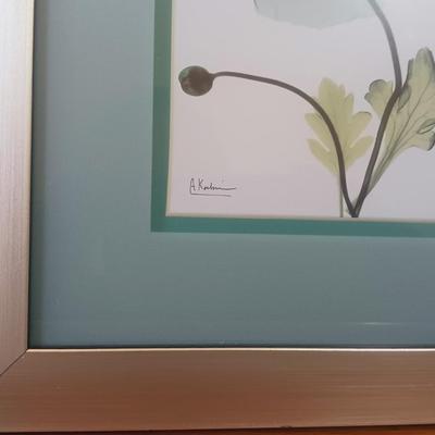 DRIED FLOWERS, FRAMED FLORAL PICTURE, SHOWER CURTAIN RINGS AND CURTAIN ROD
