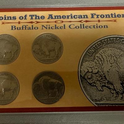 Buffalo nickel collection