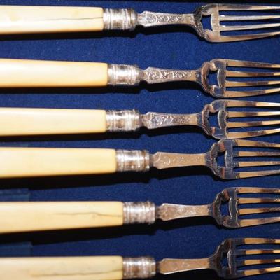 HISTORIC 1860'S SILVER & BONE HANDLED FISH SERVING SET FOR SIX /IN MAHOGANY PRESENTATION BOX