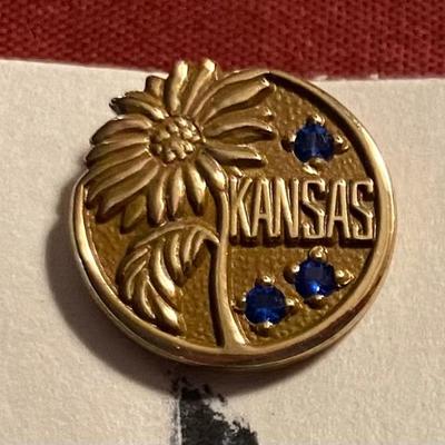Kansas Pin